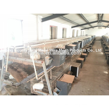 Welded Double Rabbit Cage Wire Mesh